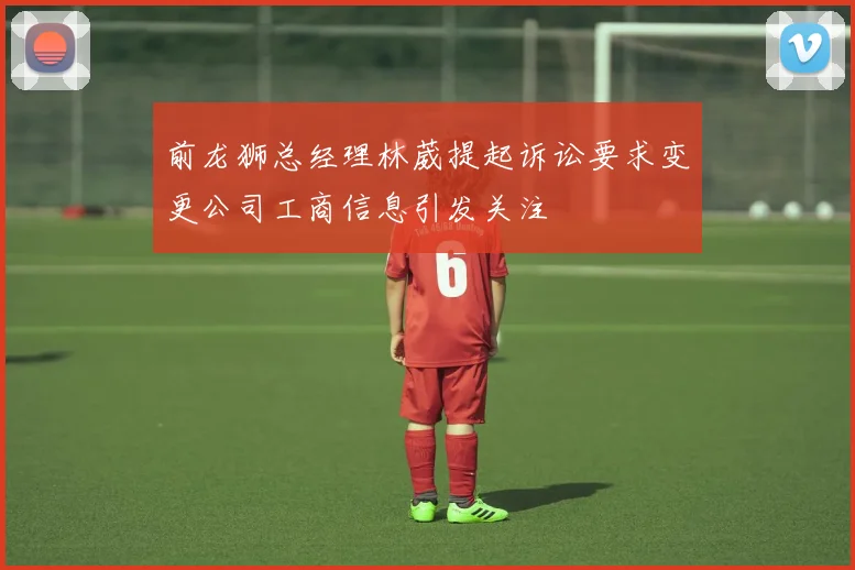 前龙狮总经理林葳提起诉讼要求变更公司工商信息引发关注